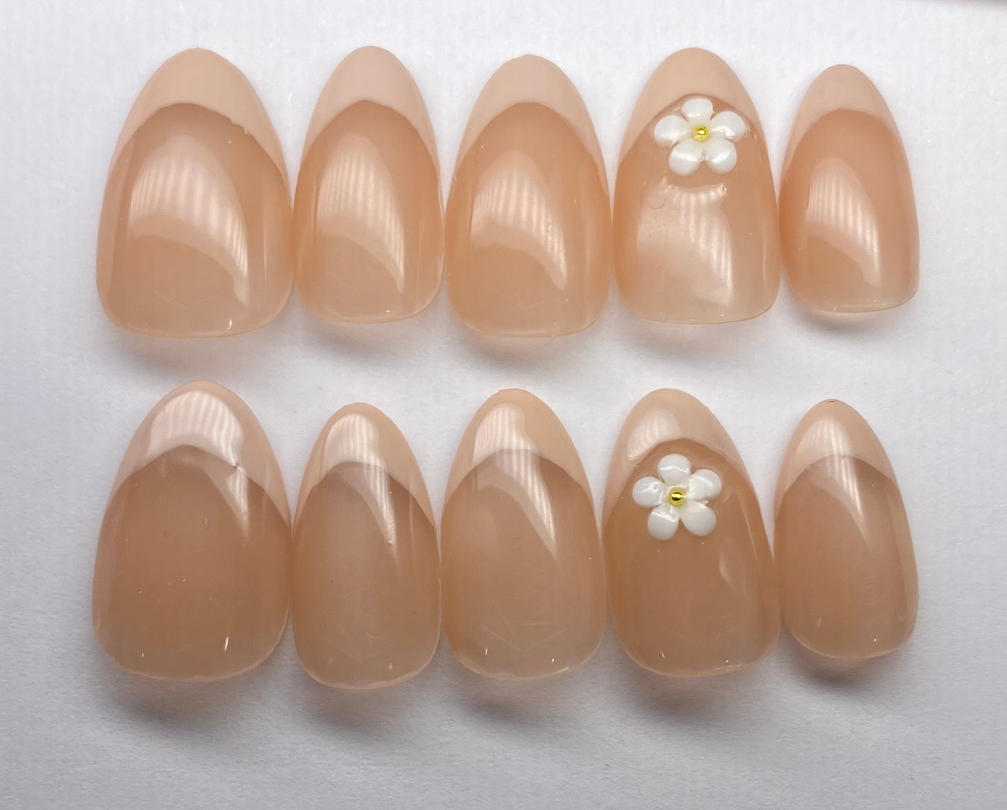 Dulce Daisies🌼