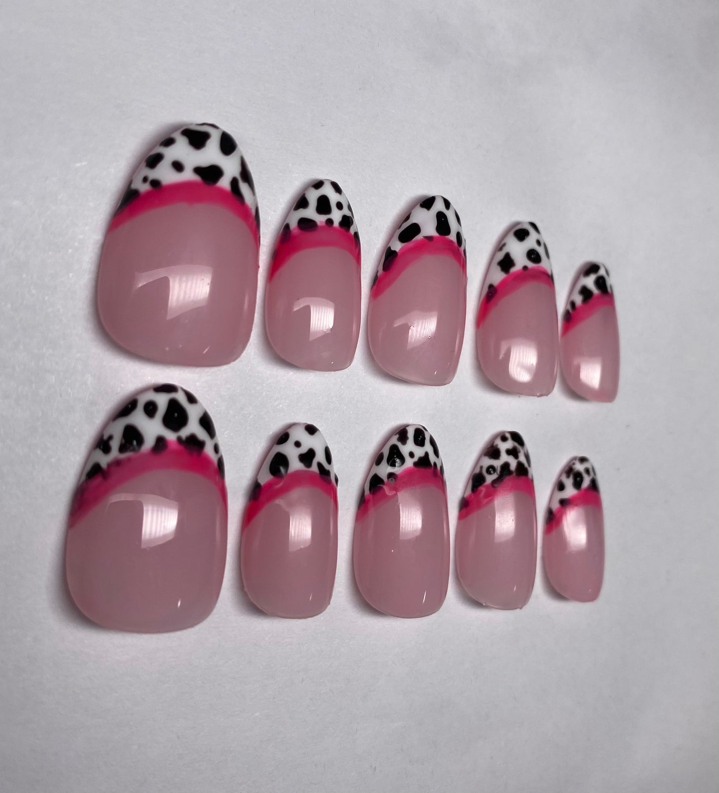 Pink Dalmatian💕