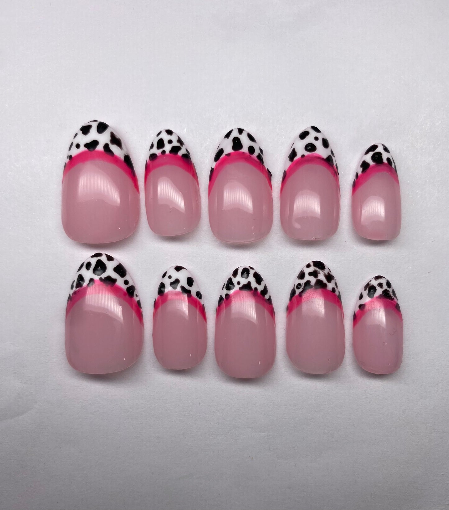 Pink Dalmatian💕