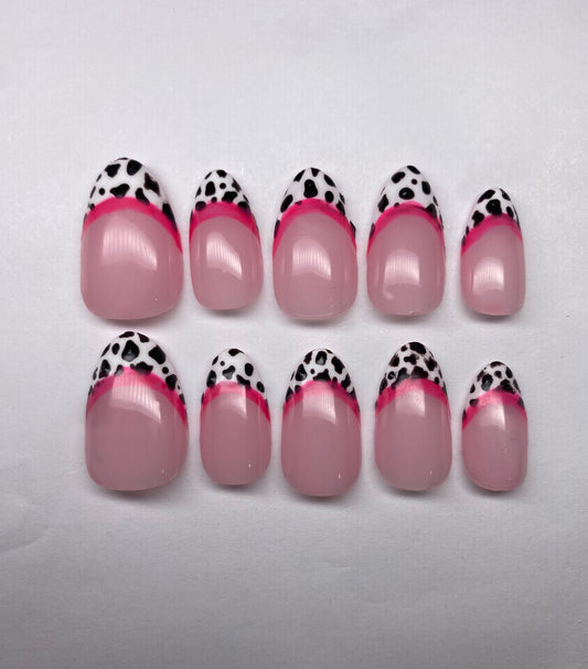 Pink Dalmatian💕
