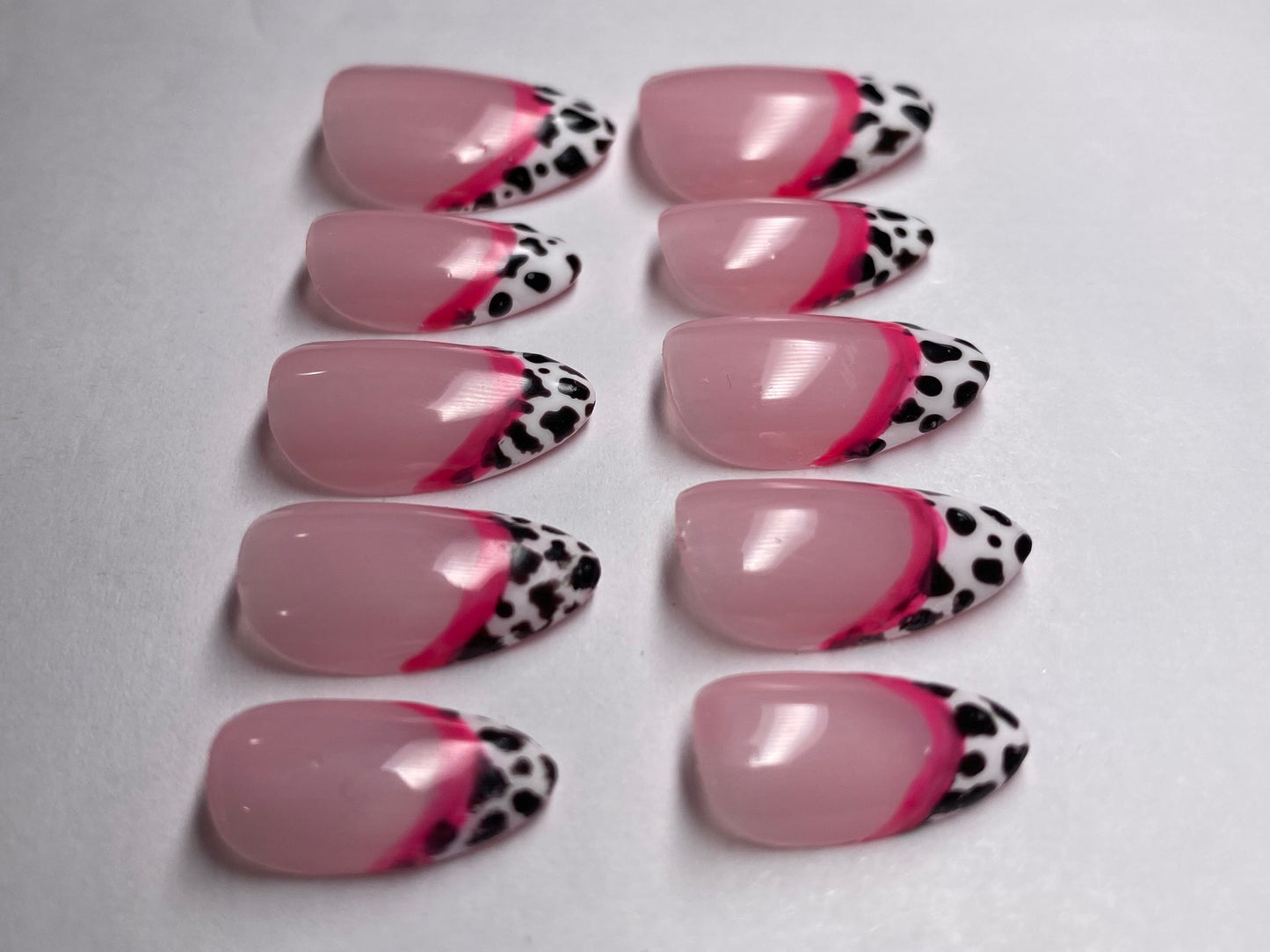 Pink Dalmatian💕